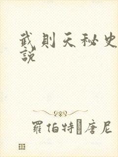 武则天秘史 小说