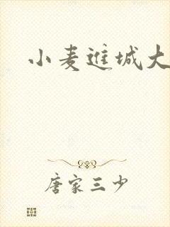 小麦进城大结局