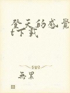 登天的感觉txt下载