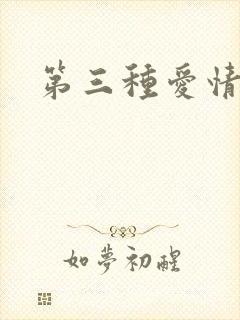 第三种爱情续集
