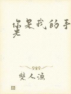 你是我的手冢国光