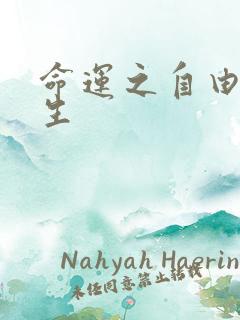 命运之自由的新生