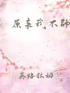 原来我不帅小说