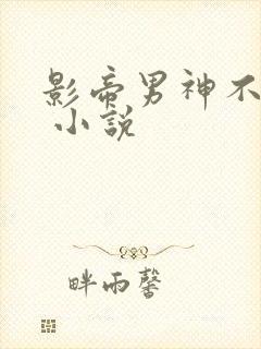 影帝男神不节制 小说