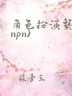 角色扮演系统(npn)