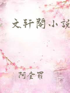 文轩阁小说网