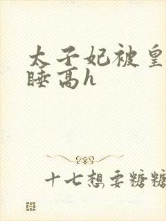 太子妃被皇上强睡高h