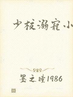 少校溺宠小小妻