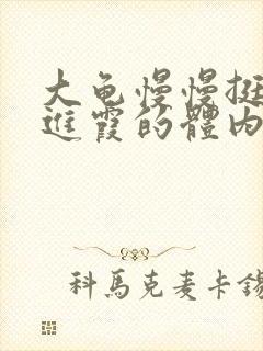 大龟慢慢挺进王进霞的体内