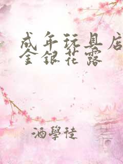 成年玩具店by金银花露