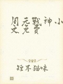 周元战神小说全文免费