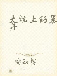 大炕上的暴伦小丹