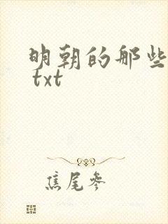 明朝的那些事儿 txt