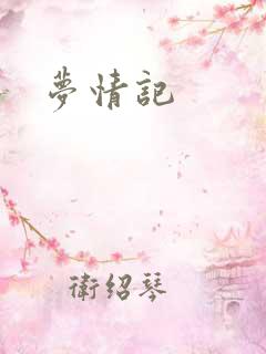梦情记