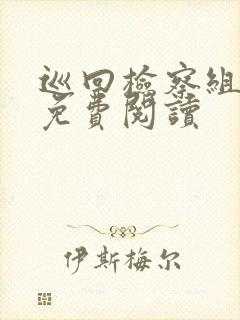 巡回检察组小说免费阅读