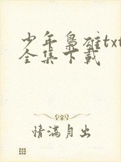 少年枭雄txt全集下载