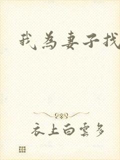 我为妻子找男妓