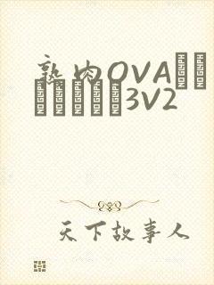 熟肉OVAちゃんはしたい3V2