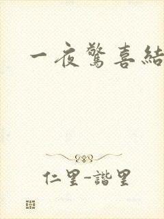 一夜惊喜结局