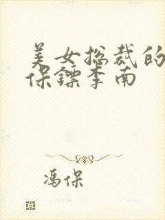 美女总裁的护花保镖李南