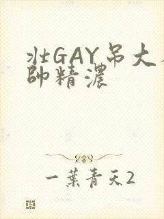 壮GAY吊大人帅精浓
