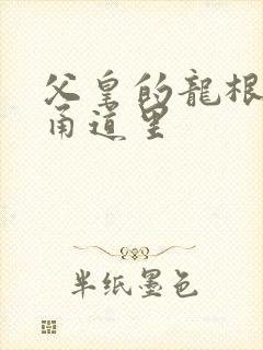 父皇的龙根在我甬道里