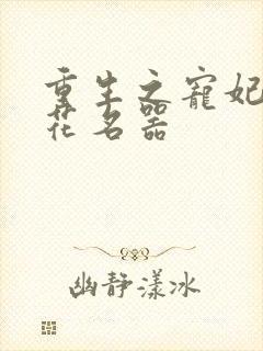 重生之宠妃白莲花名器