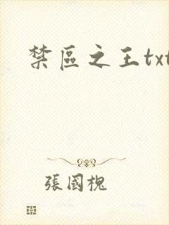 禁区之王txt