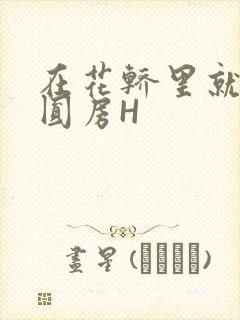 在花轿里就开始圆房H