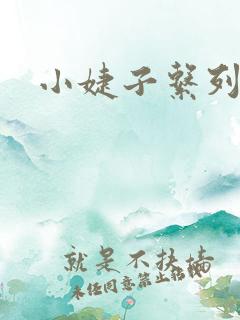 小婕子系列小说