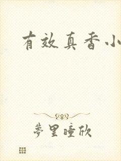 有效真香小说