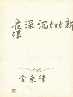 夜深沉txt新浪
