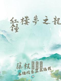 红楼梦之龙套秦钟