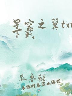 星空之翼txt下载