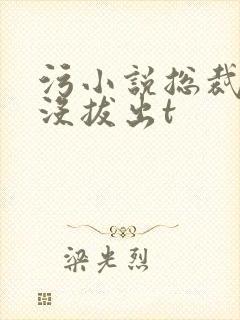 污小说总裁整夜没拔出t