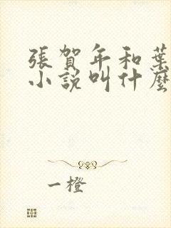 张贺年和叶繁姿小说叫什么名字