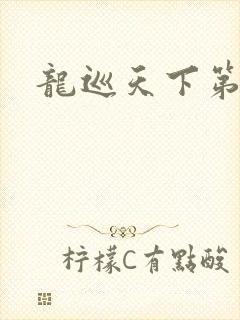 龙巡天下第四部