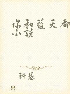 你和蓝天都重要小说