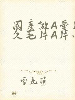 国产做A爱片久久毛片A片小说