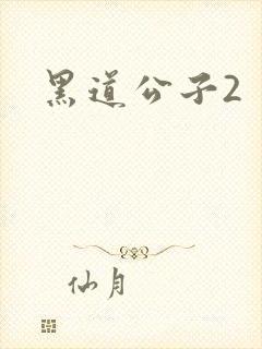 黑道公子2