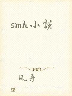 smh小说