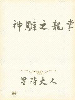 神雕之龙掌门