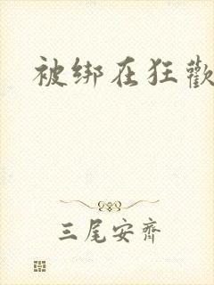 被绑在狂欢之椅