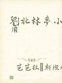 刘北林梦小说主角