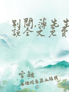 别闹,薄先生小说全文免费阅读