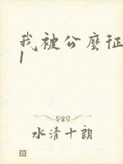 我被公么征服了1