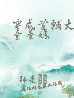 穿成首辅大人的童养媳