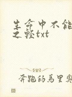 生命中不能承受之轻txt