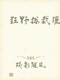 狂野总裁猎逃妻