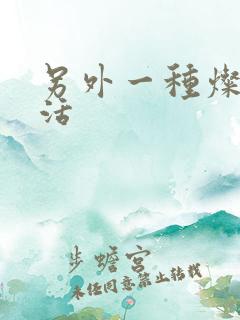 另外一种灿烂生活